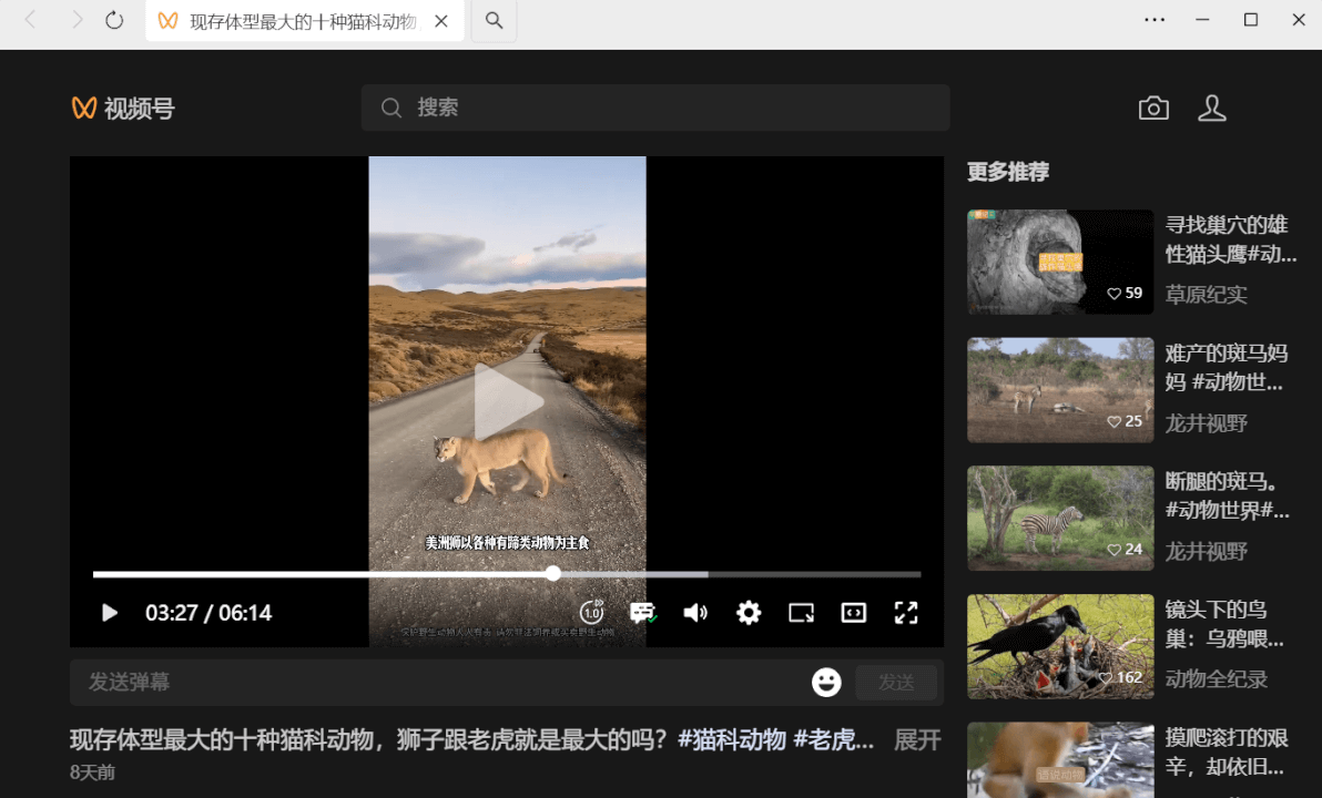 蝴蝶号视频号视频提取下载，手把手教你-然百捷网络科技