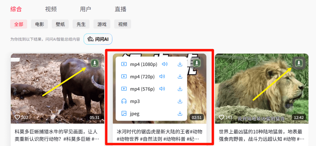 网页视频下载工具